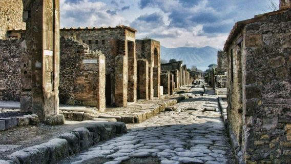 Pompeii: Entry Ticket & Guided Tour with an Expert Historian
