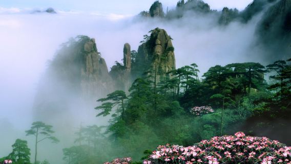 【懶系爬山.4 趟纜車】黃山+玉屏雲谷來回一日遊|導遊+專車