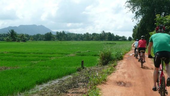 Habarana: Countryside Cycling Tour From Sigiriya, Dambulla