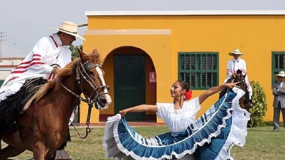Trujillo : Marinera show with Peruvian Paso Horses