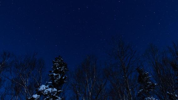 Picchio Shiretoko, Hokkaido