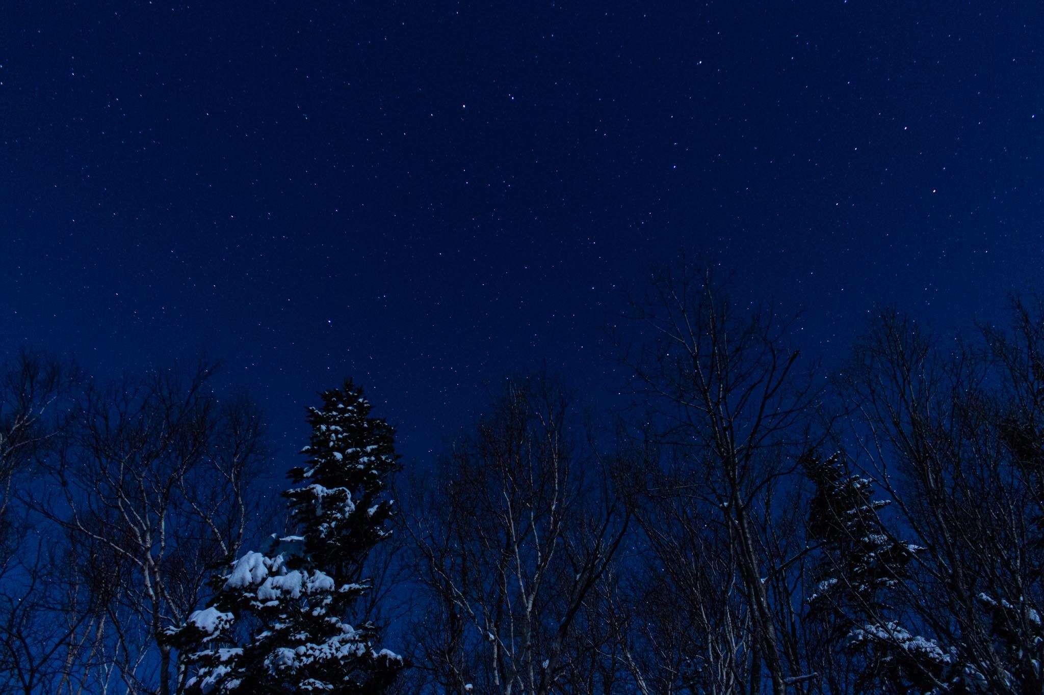 Picchio Shiretoko, Hokkaido