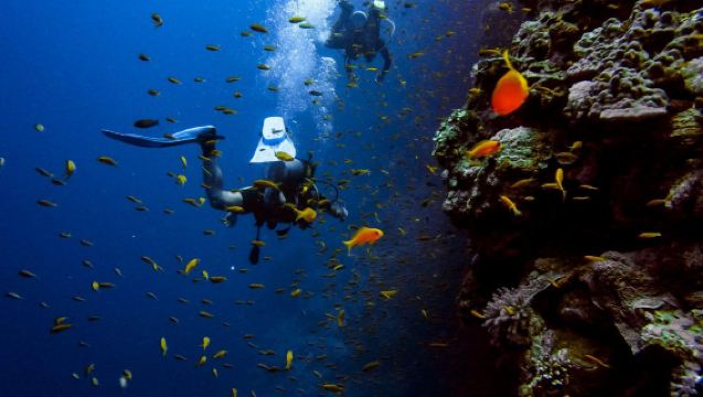 Dubai Attraction: Bermuda Diving Center