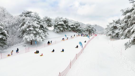 Frische Erdbeeren pflücken + Schlittenfahren in Hongcheon Daemyung Snow World + Tagesausflug zum Eisfall von Yufi Valley (Seoul)