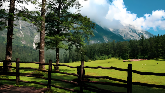 玉龍雪山雲杉坪小索道+藍月谷一日遊（7-9人小團）