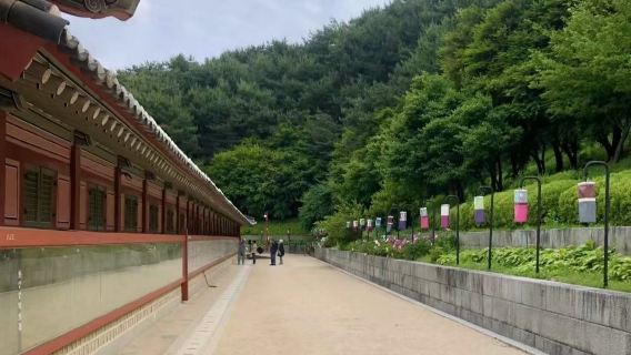 韓國炸雞專線日遊：行宮穿越之旅·星空圖書館·南門炸雞