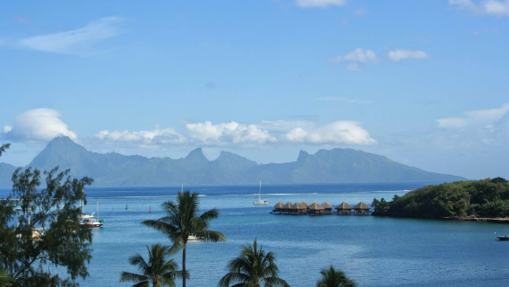 Privattransfer in Französisch-Polynesien, Papeete/Tahiti (anpassbare Reiseroute, Service auf Chinesisch/Englisch)