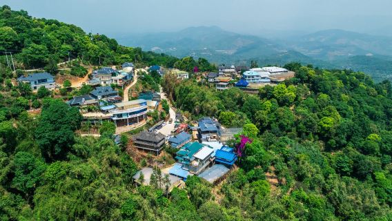 南糯山+曼丟傣家古寨包車一日遊