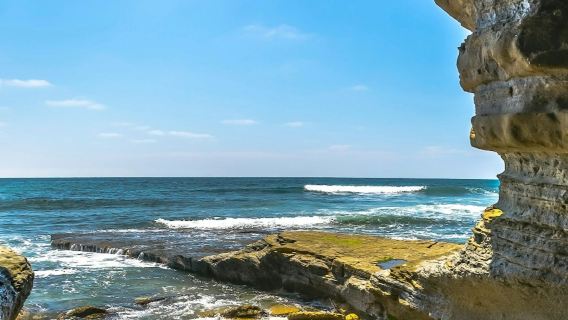 La Jolla Cove: tour in auto senza guida
