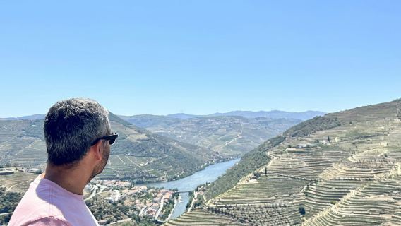 Douro Valley: Day Trip + Wine, Cheese, & Olive Oil Tasting from Porto