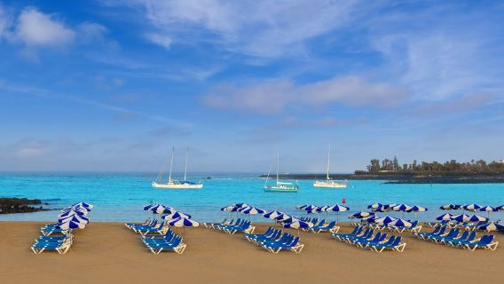 Los Cristianos: Full-Day Tour + Roundtrip Transfer