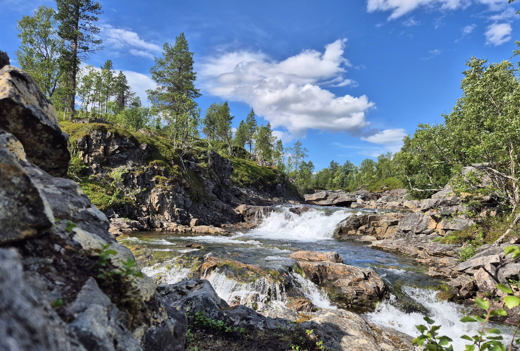 挪威特羅姆瑟-芬斯內斯小鎮-塞尼亞島遊【專車出行-愜意舒適】