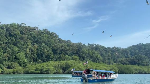 Langkawi Classic Island Hopping Half-Day Tour [Pulau Dayang, Lion Island, Pulau Beras Basah]