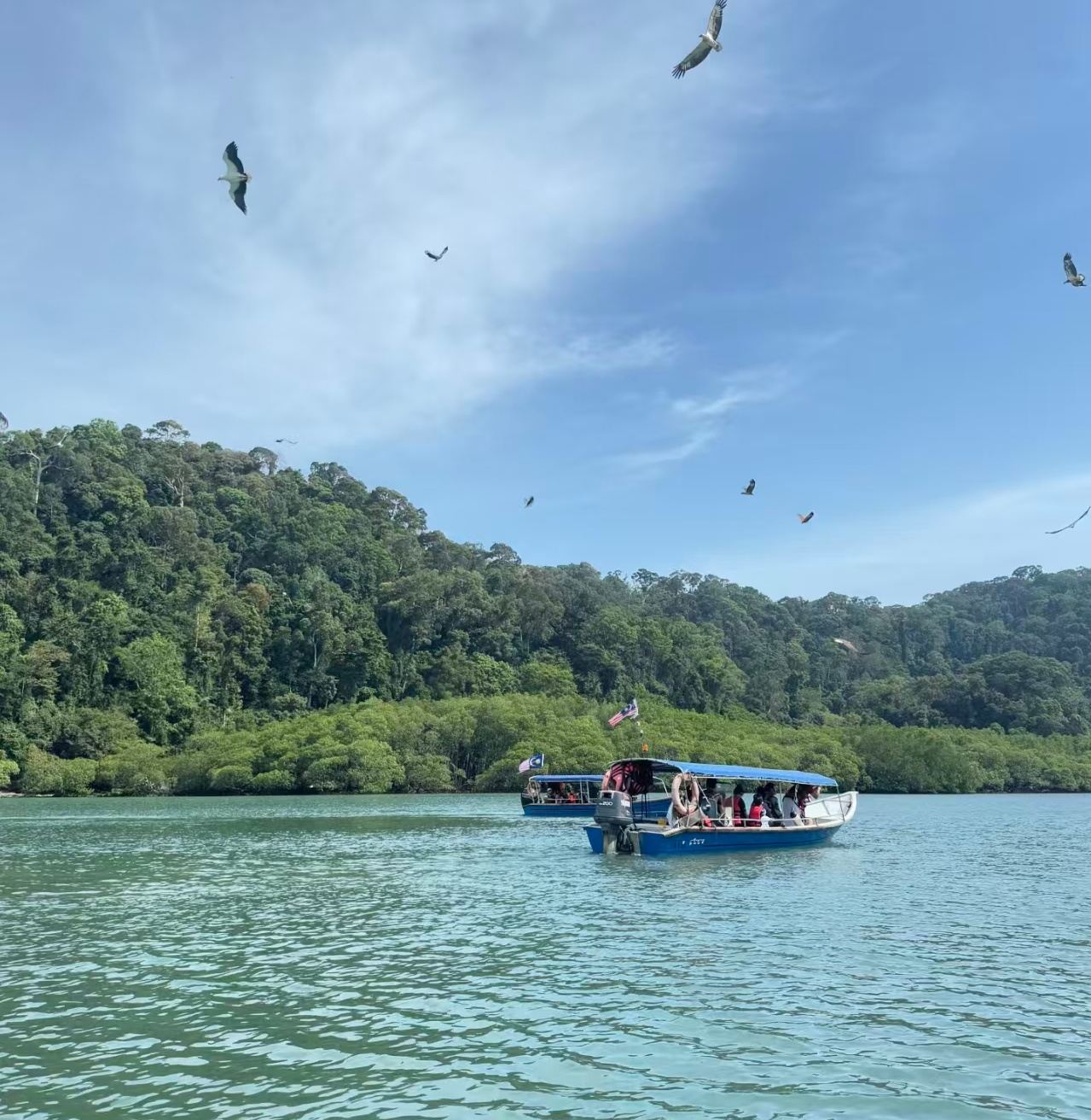 Langkawi tour giornaliero classico in barca con visita alle isole [Isola delle Donne Incinte, Isola del Leone, Isola del Riso Umido]