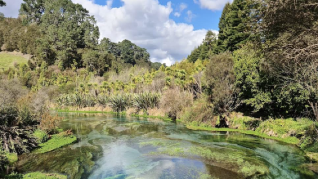 紐西蘭奧克蘭+漢密爾頓+藍泉-可定制【中文專車-愜意舒適】