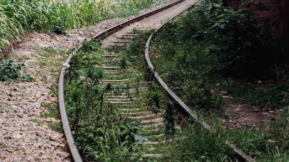 Excursión de un día con servicio de coche privado con conductor a la Ciudad Natal de Chen Yi, el Parque Zikushan y el Parque Cultural de los Tres Sabios en Ziyang, Sichuan, con servicio en inglés