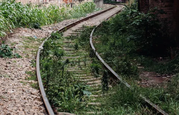 四川資陽陳毅故里+字庫山公園+三賢文化公園一日遊中英文服務
