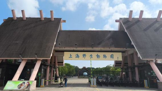 上海野生動物園歡樂暢玩一日遊