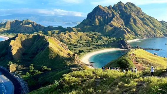 ทัวร์ 1 วันด้วยสปีดโบ๊ตที่โคโมโด (รวม 8 จุดท่องเที่ยว เช่น ปาดาร์, หาดทรายสีชมพู, เกาะคาลอง) แบบกรุ๊ปรวม