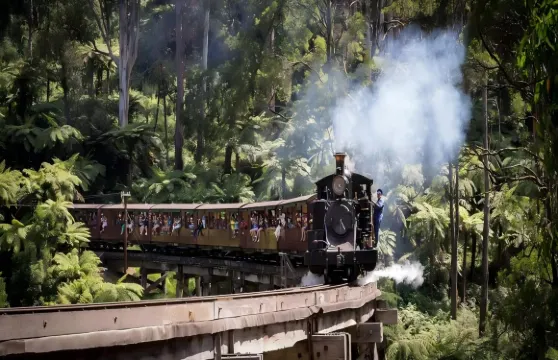 澳洲普芬比利火車+亞拉河谷一日遊【蒸汽火車/參觀酒莊】