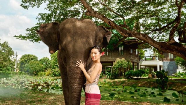 Tour giornaliero a metà giornata al campo degli elefanti di Bangkok (alimentazione degli elefanti/bagno/interazione ravvicinata/lavori artigianali)