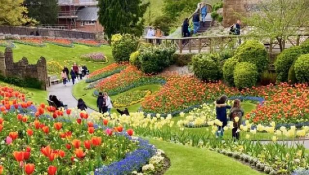倫敦周邊｜Guildford後花園【鬱金香矩陣與中世紀草藥】