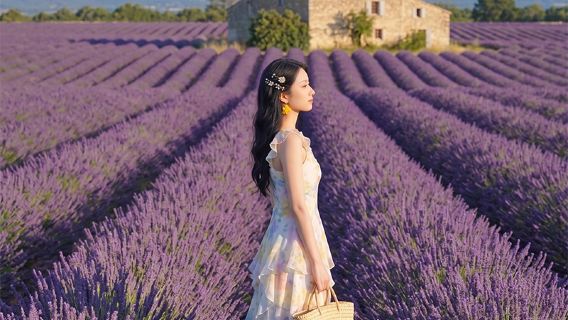 法國普羅旺斯薰衣草陶瓷小鎮聖十字湖2-8人中文團一日遊