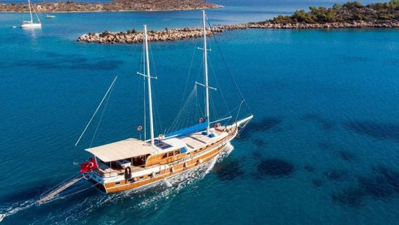 Tour en barco a la isla Orak desde Bodrum con paradas para nadar y almuerzo