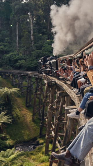 Australia Melbourne Puffing Billy Railway + Little Penguin Parade 1-day tour [English-speaking group]
