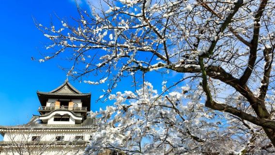 日本名古屋+空中長廊+熱田神宮一日遊/行程可調-可定制