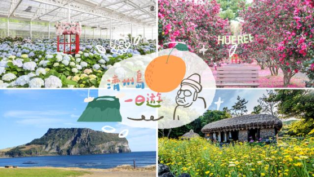 Summer Hydrangea Limited Edition|Hueree Natural Ecological Park x Jeju Folk Village x Seongsan Ilchulbong