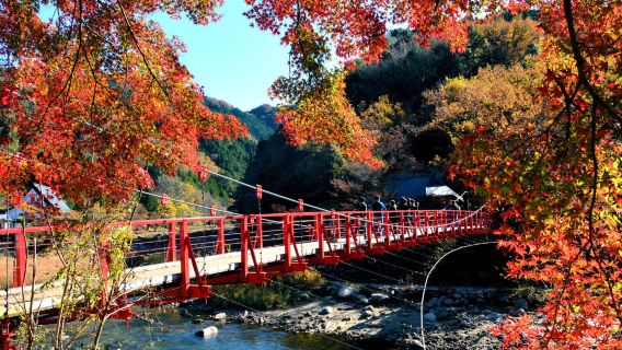 Nagoya + Eiho-ji + Korankei gorge one-day tour, autumn limited route