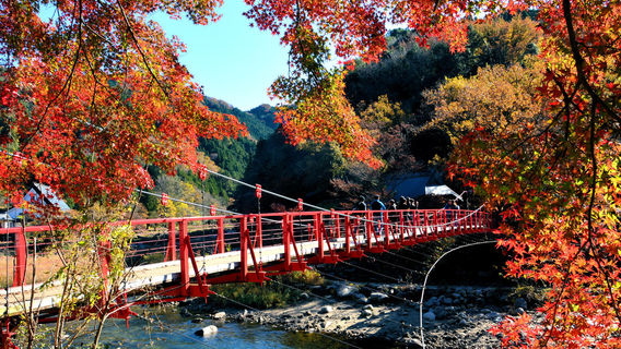 Aichi DistrictTours