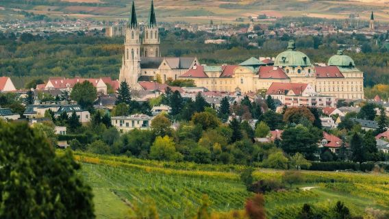 Abadía de Klosterneuburg: Visita guiada a la bodega y cata de vinos