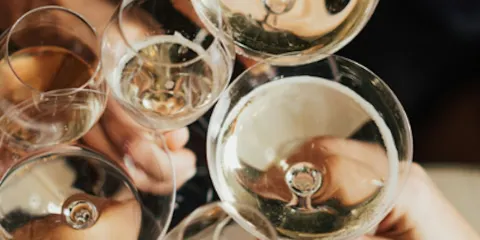 索諾馬縣品酒通行證成人