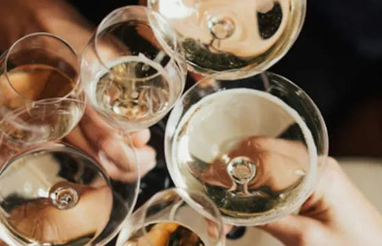 索諾馬縣品酒通行證成人