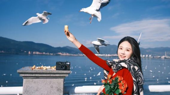 昆明滇池海埂公園+西山龍門+官渡古鎮+翠湖+昆明老街一日遊