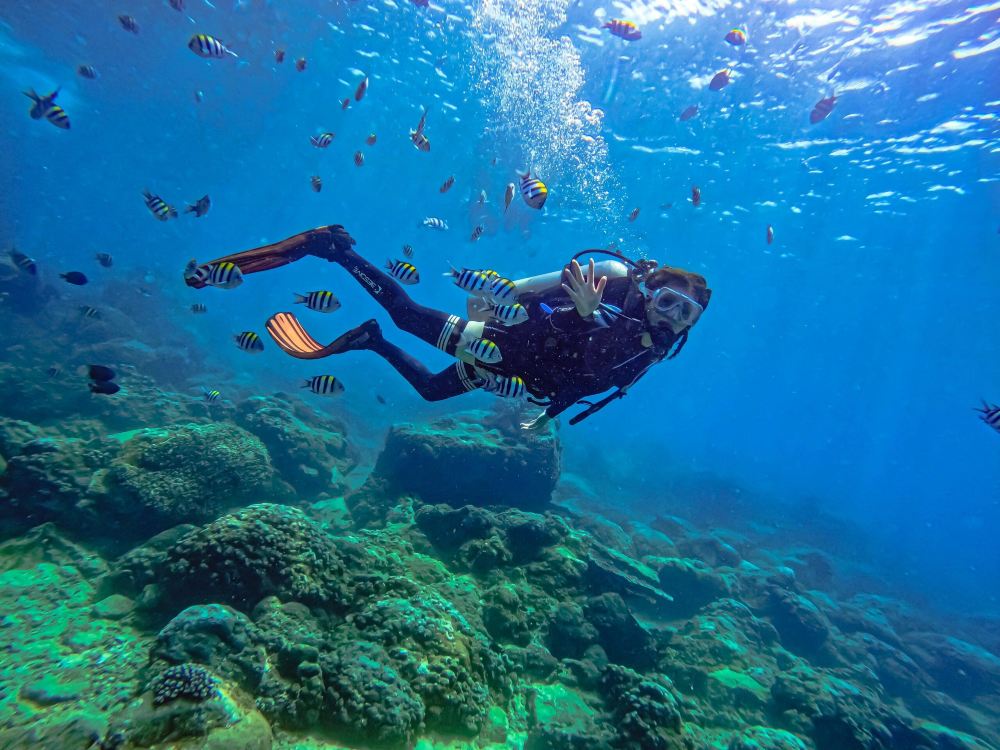 3-hour diving scuba diving experience in Bohol, Philippines [Momo Beach ...