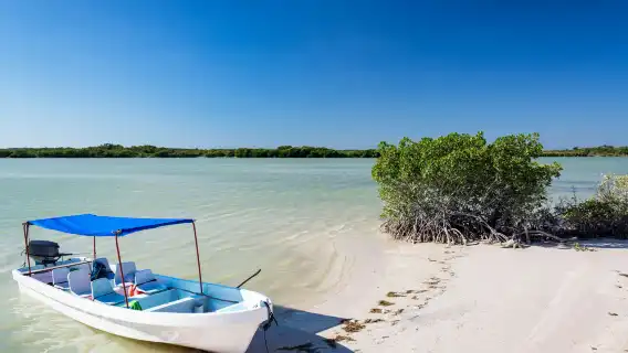 Río Lagartos & Las Coloradas: Guided Tour, Lunch with Drinks + Transfer