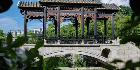 佛山祖廟+千燈湖公園+梁園+南風古灶+嶺南天地一日遊&醒獅表演+地道美食