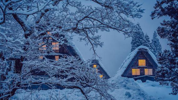 日本+大阪+白川鄉一日遊（2人即可成行）