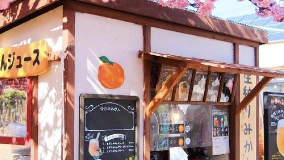 日本東京+伊東+伊豆仙人掌動物一日遊/行程可調-可訂製多日遊