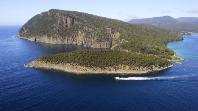 Bruny Island Day Tour: Oyster Restaurant + The Neck Adventure Bay with Hobart Transfers