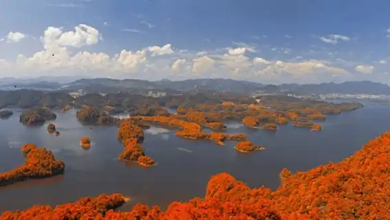 千島湖夢想5號遊船+千島湖景區門票休閒遊