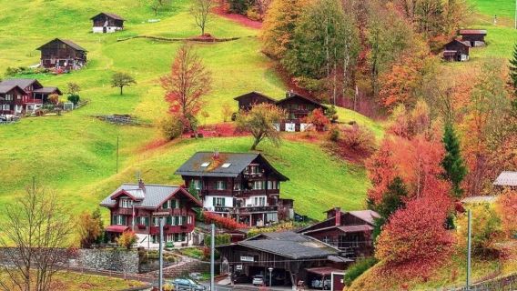 墨西哥全境 專業翻譯|旅遊地陪|商務翻譯|展會翻譯|陪同拜訪|中英翻譯