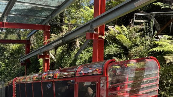 Amazing Blue Mountains Special Full Day Tour With Return Harbour Cruise from Sydney