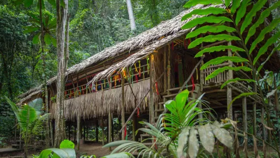Sesión de la mañana|Tour por la Aldea Cultural Mari Mari + Almuerzo de laksa de gambas grandes|Viaje organizado