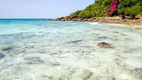 [Tour en grupo] Excursión de medio día a la isla de coral de Pattaya (Ko Lan) – Recogida gratis y actividad opcional