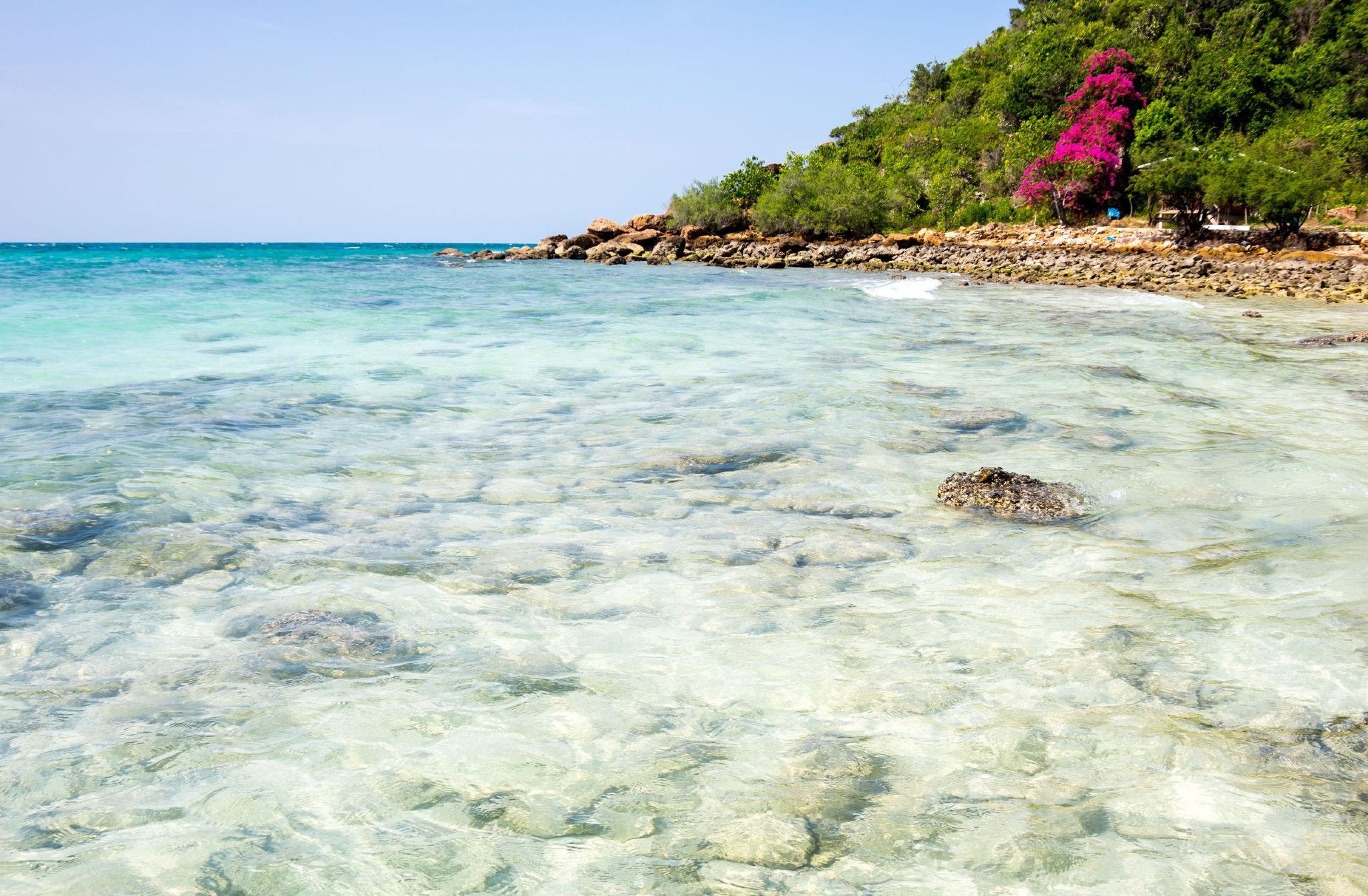 [Join Tour] Pattaya Coral Island (Koh Larn) Half-Day Tour – Free Pickup & Option Activity