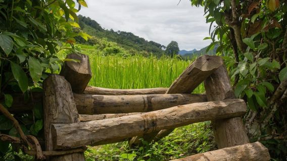 Luang Prabang: Village Trek & Nam Khan River Kayak Tour
